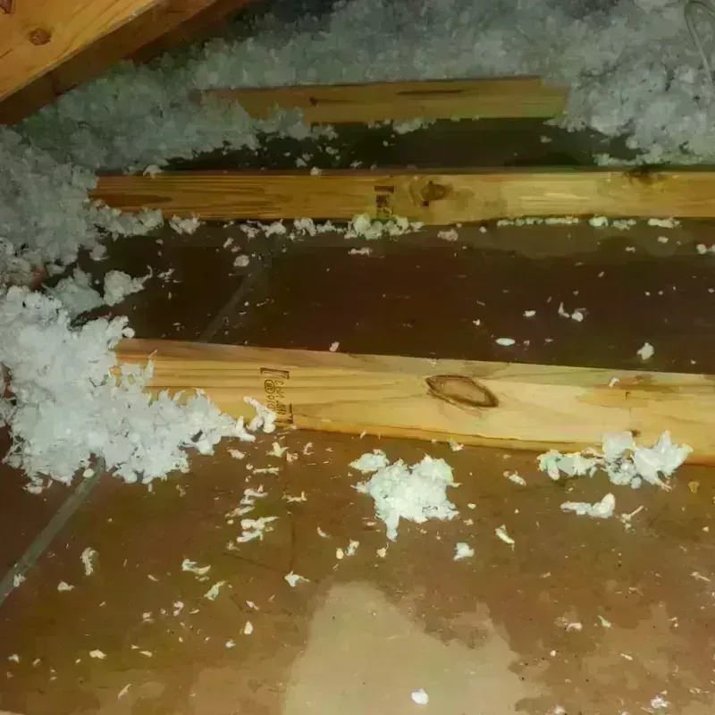 Attic Water Damage in Stevens County, MN